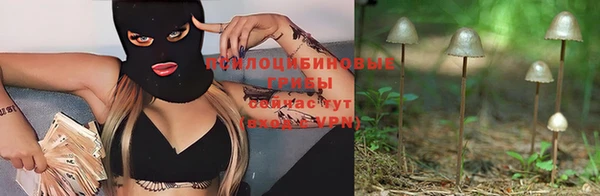 МДМА Краснослободск