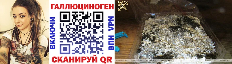 Галлюциногенные грибы мицелий  Купино 